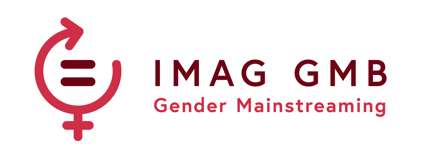 IMAG GMB Logo - zur Startseite